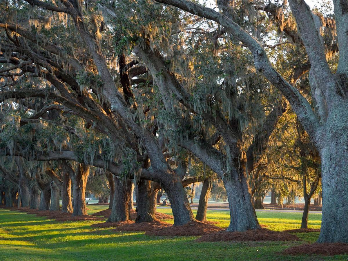 The Lodge At Sea Island St. Simons Island Exteriér fotografie
